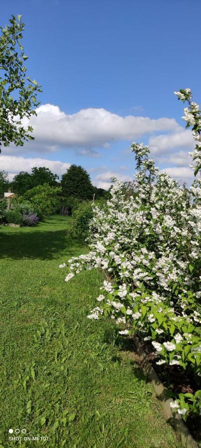 Ruralna Kuca Za Odmor Pozojova Hiza - Rural Holiday House Lopatinec Exterior photo